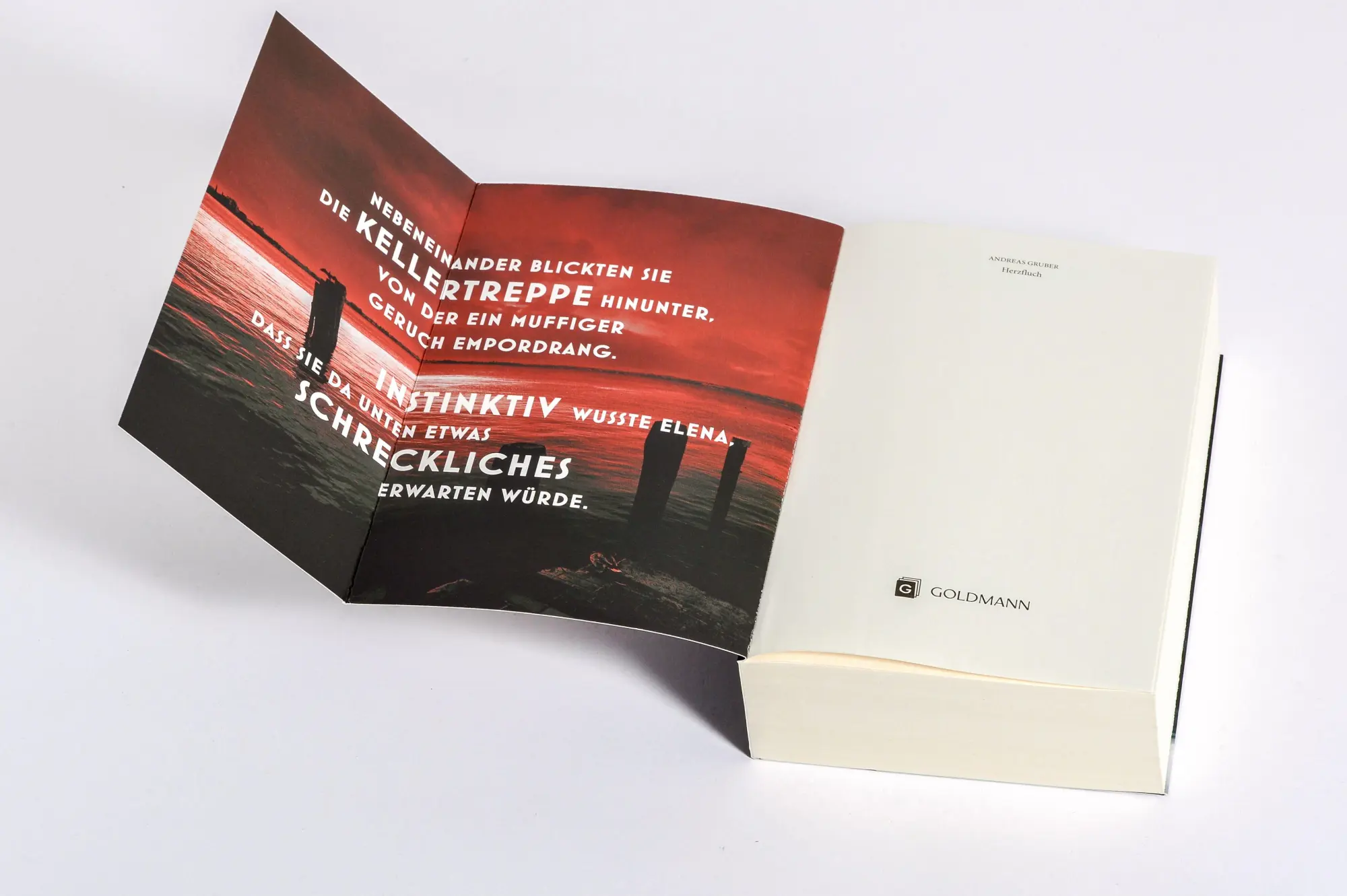 Bild: 9783442494637 | Herzfluch | Andreas Gruber | Taschenbuch | Herz-Reihe | 608 S. | 2025