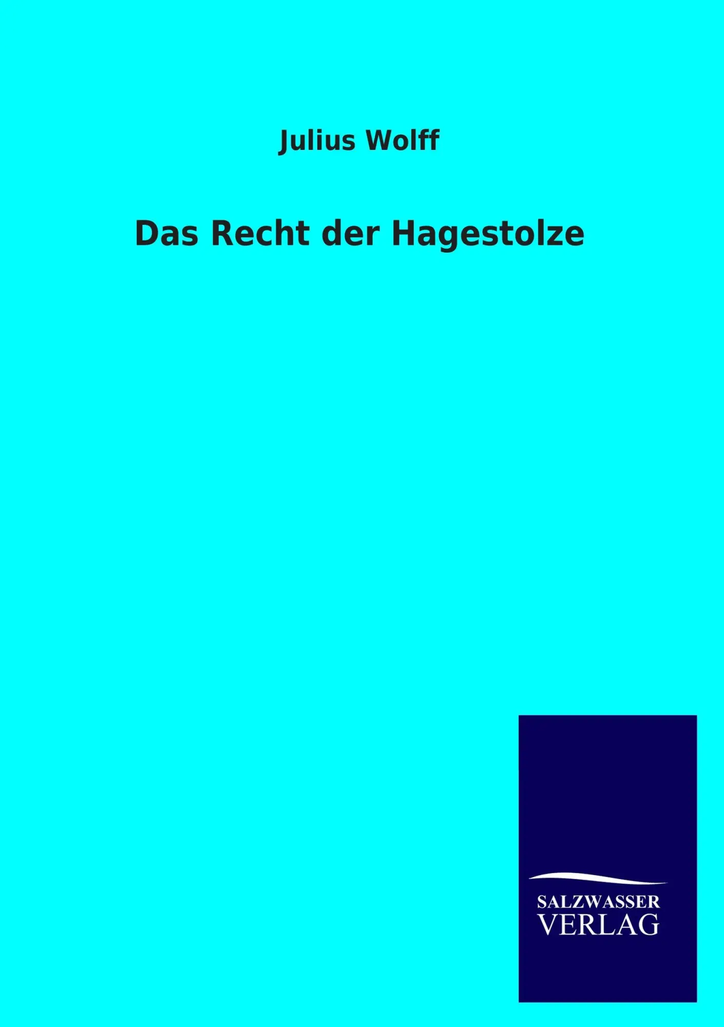 Cover: 9783846034637 | Das Recht der Hagestolze | Julius Wolff | Taschenbuch | 384 S. | 2013