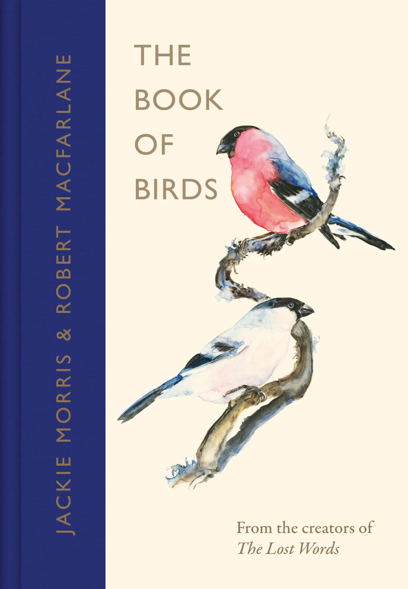 Cover: 9780241404737 | The Book of Birds | A Field Guide to Wonder and Loss | Buch | 384 S.