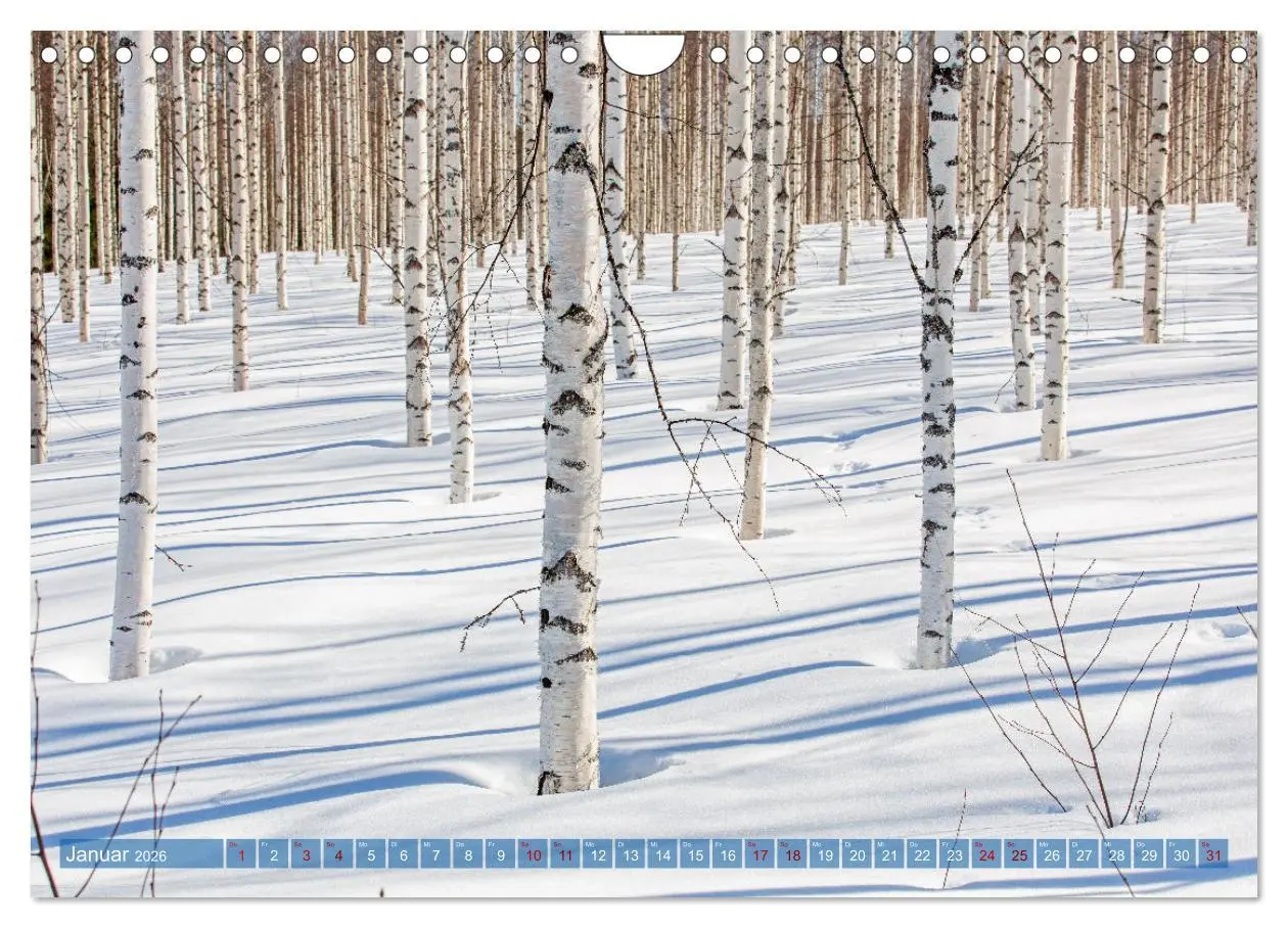 Bild: 9783457334737 | Wildes Finnland (Wandkalender 2026 DIN A4 quer), CALVENDO...
