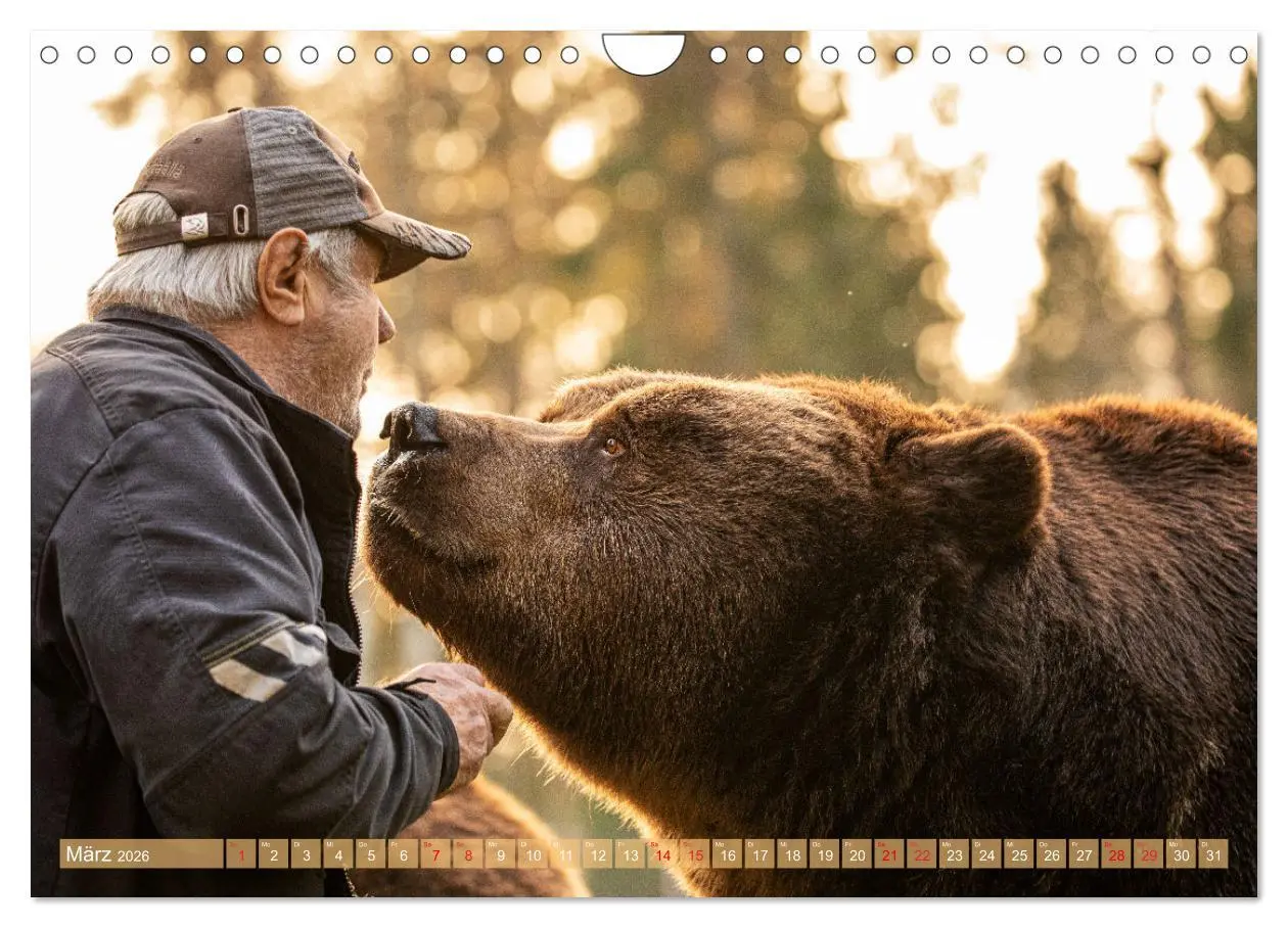 Bild: 9783457334737 | Wildes Finnland (Wandkalender 2026 DIN A4 quer), CALVENDO...