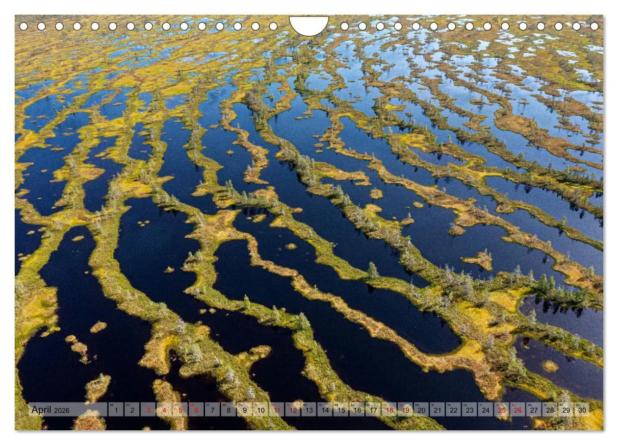 Bild: 9783457334737 | Wildes Finnland (Wandkalender 2026 DIN A4 quer), CALVENDO...