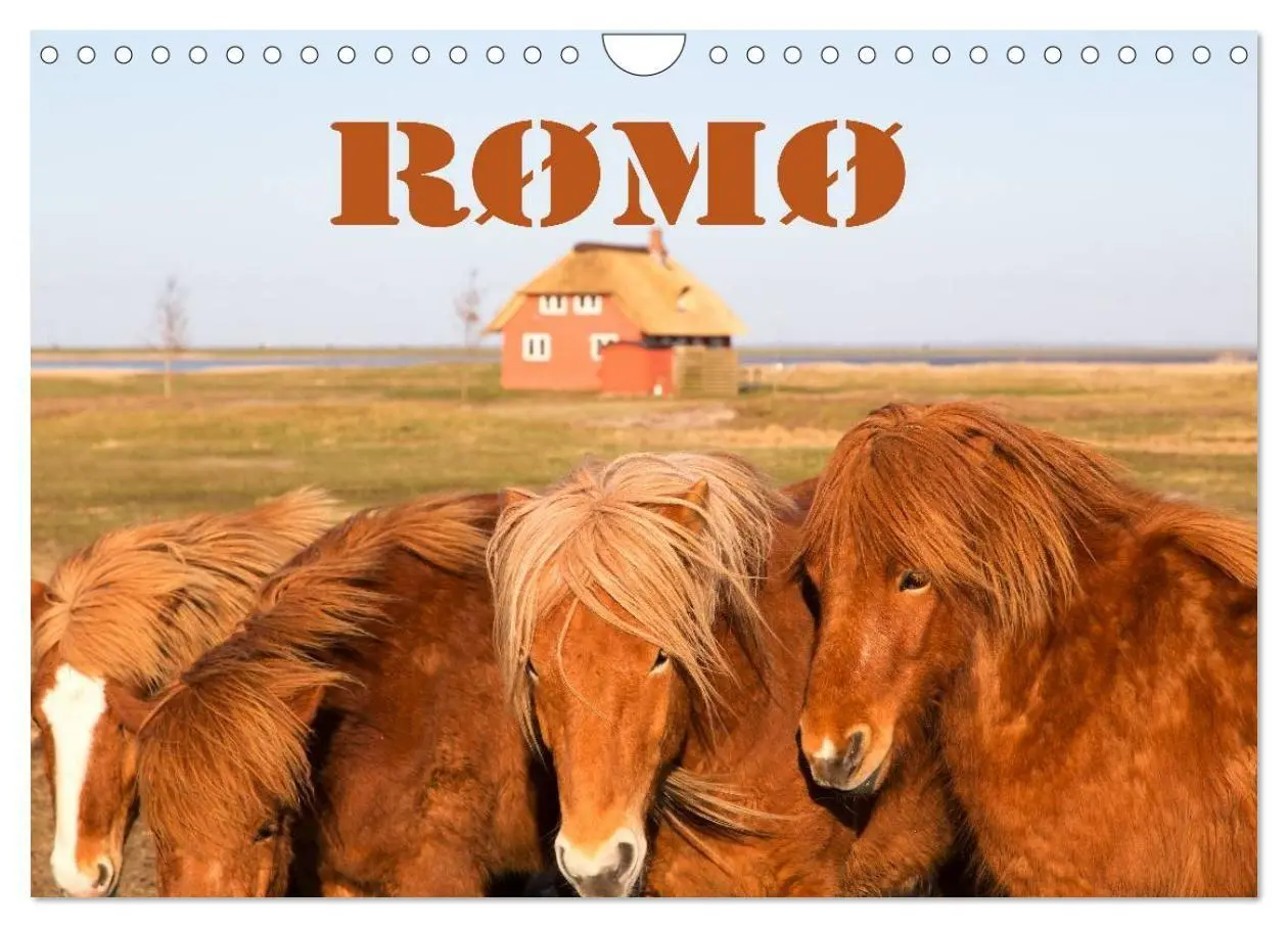 Cover: 9783594024737 | Rømø (Wandkalender 2027 DIN A4 quer), CALVENDO Monatskalender | 2027