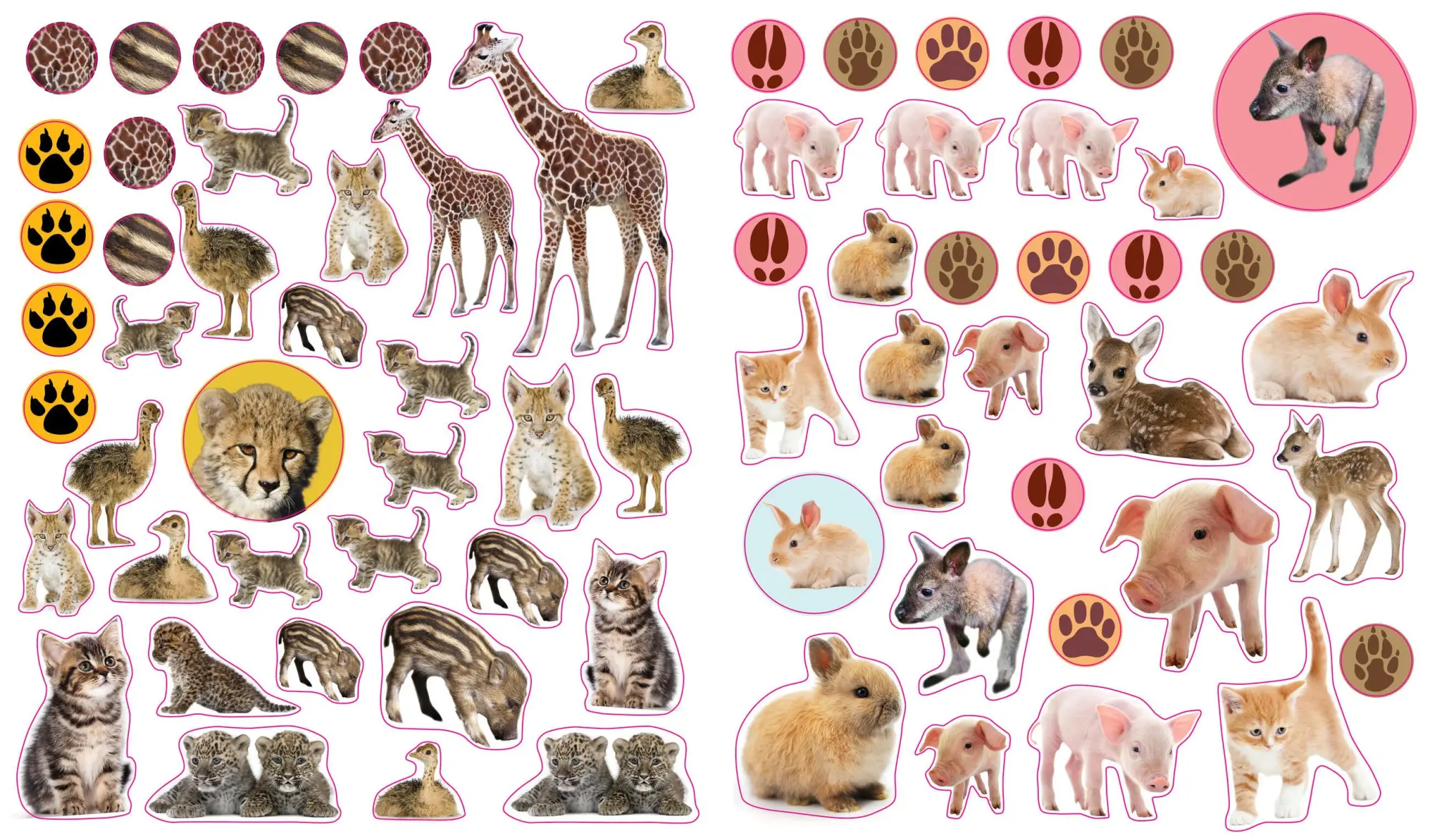 Bild: 9780761174837 | Eyelike Stickers: Baby Animals | Workman Publishing | Broschüre | 2013