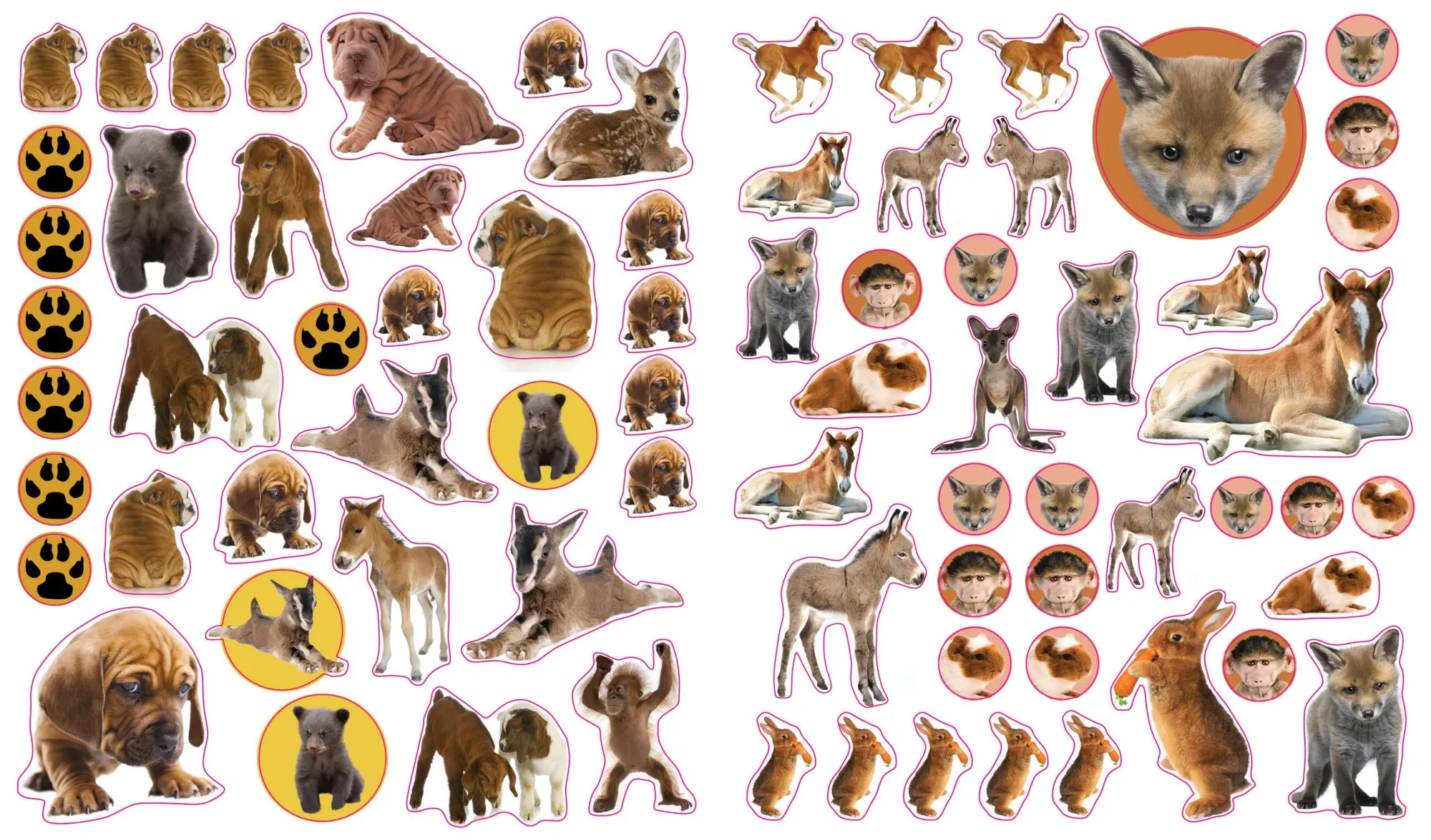Bild: 9780761174837 | Eyelike Stickers: Baby Animals | Workman Publishing | Broschüre | 2013