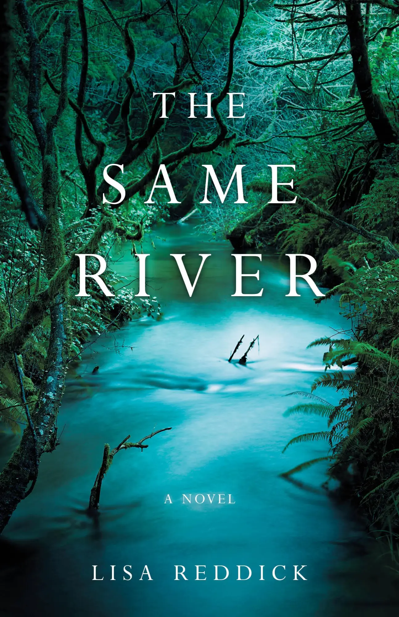Bild: 9781631524837 | Same River | Lisa M Reddick | Taschenbuch | Kartoniert / Broschiert