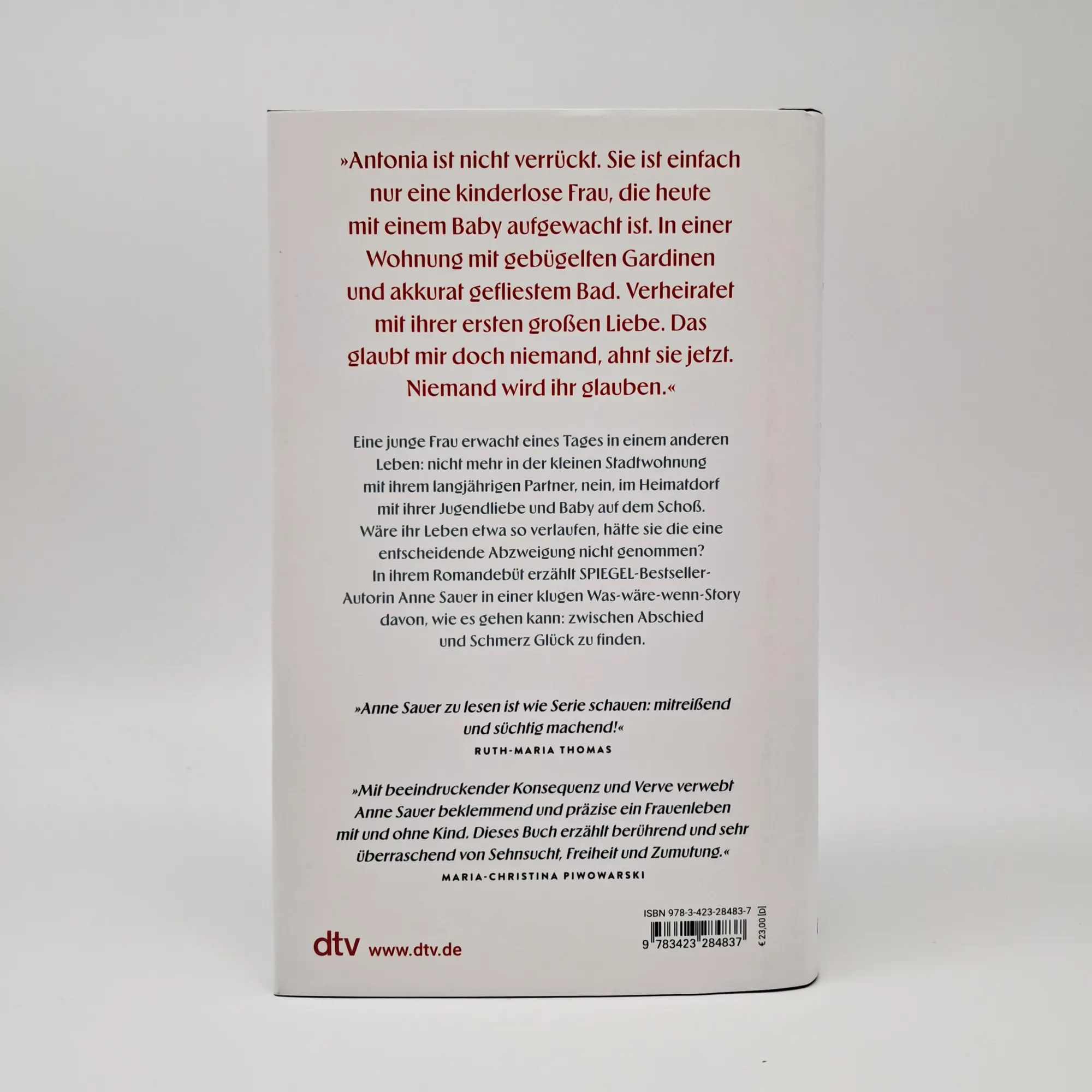 Bild: 9783423284837 | Im Leben nebenan | Anne Sauer | Buch | 272 S. | Deutsch | 2025