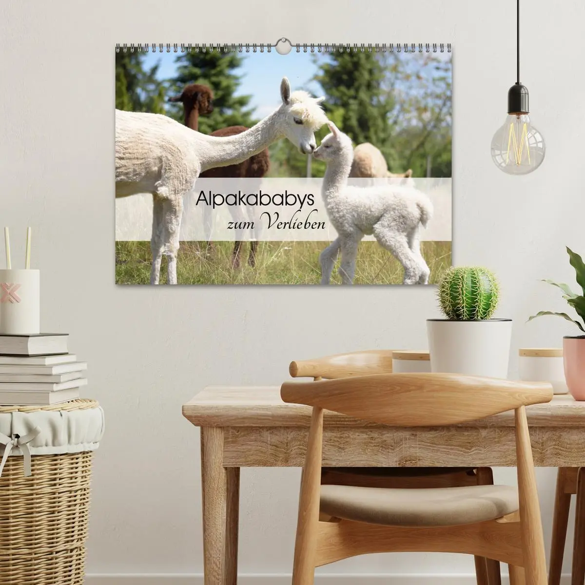 Bild: 9783457564837 | Alpakababys zum Verlieben (Wandkalender 2026 DIN A3 quer), CALVENDO...