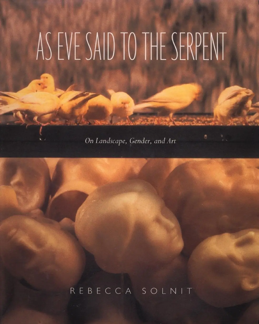 Cover: 9780820324937 | As Eve Said to the Serpent | On Landscape, Gender, and Art | Solnit