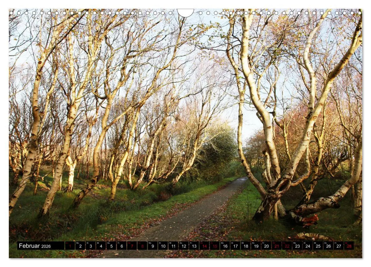 Bild: 9783457314937 | Insel Baltrum, Perle im Ostfriesischen Wattenmeer (Wandkalender...