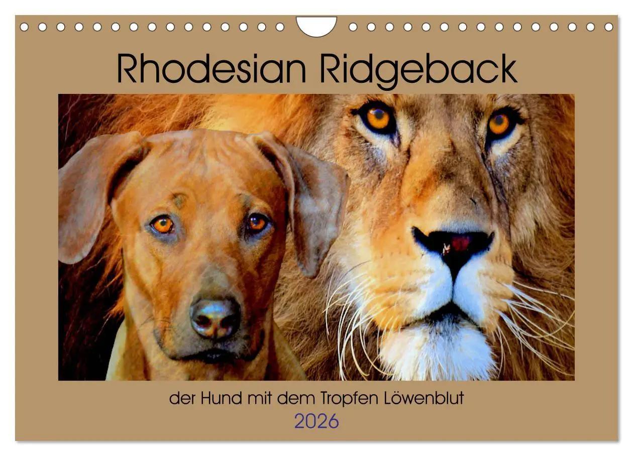 Cover: 9783457864937 | Rhodesian Ridgeback der Hund mit dem Tropfen Löwenblut...