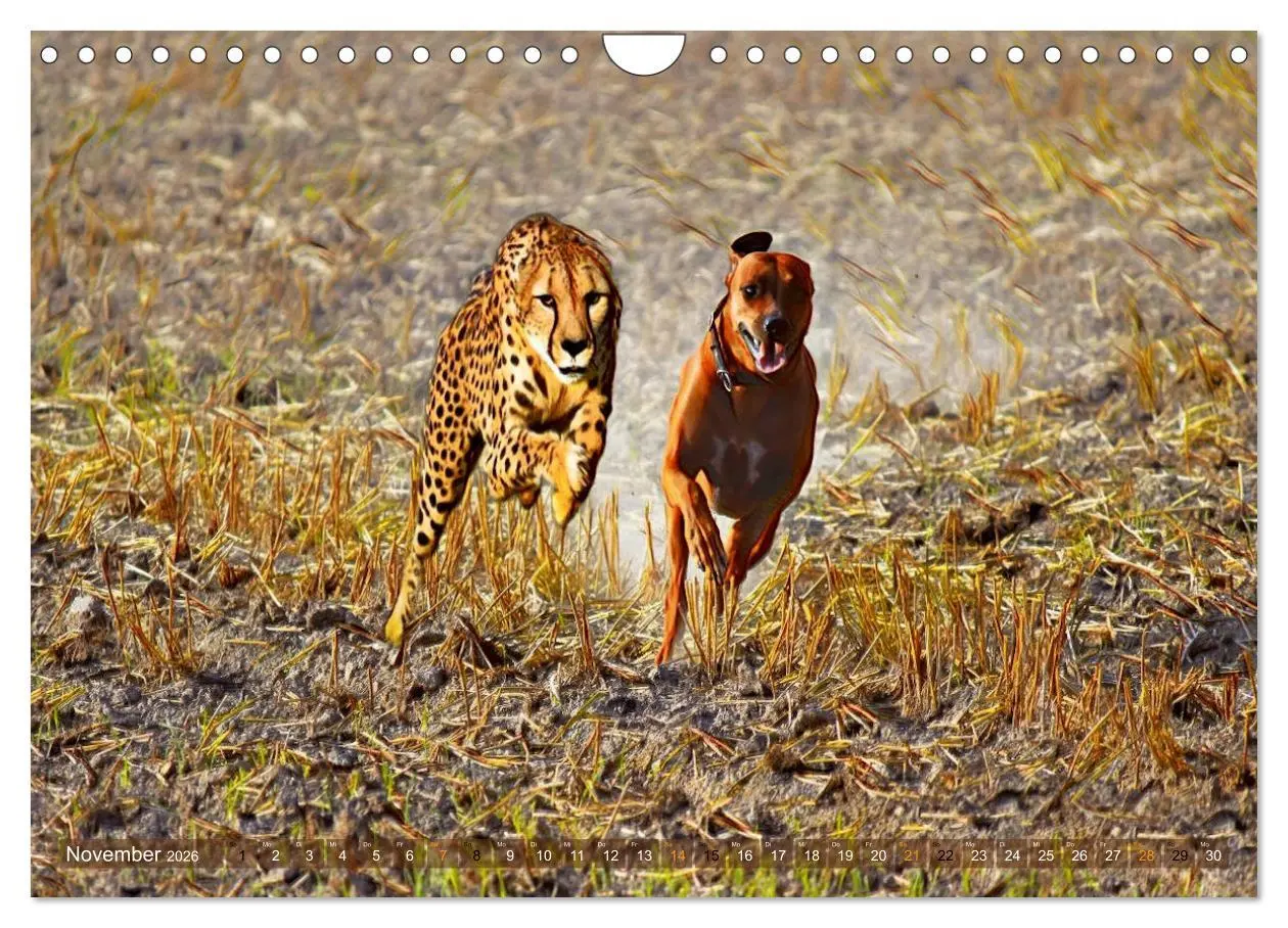 Bild: 9783457864937 | Rhodesian Ridgeback der Hund mit dem Tropfen Löwenblut...
