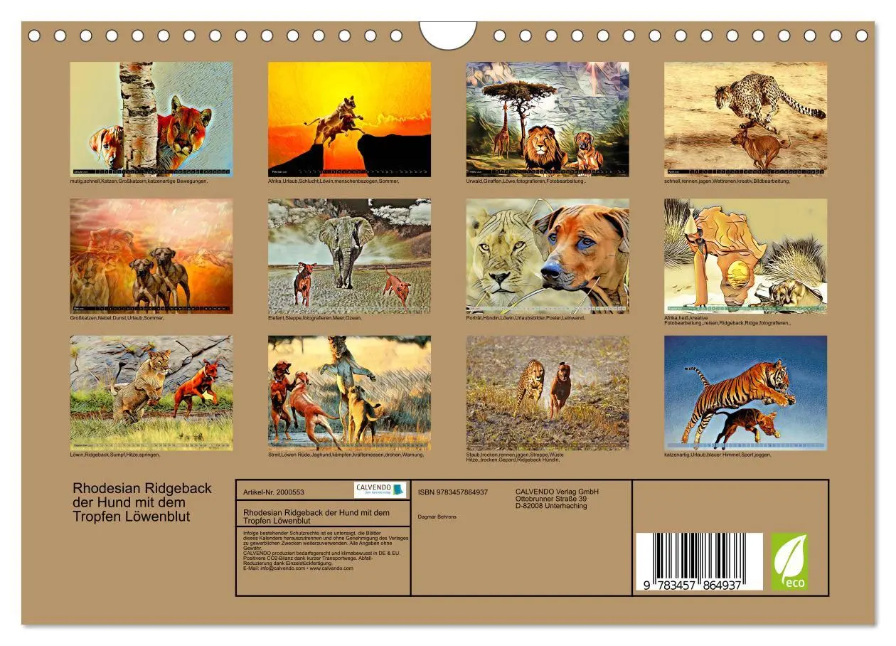 Bild: 9783457864937 | Rhodesian Ridgeback der Hund mit dem Tropfen Löwenblut...