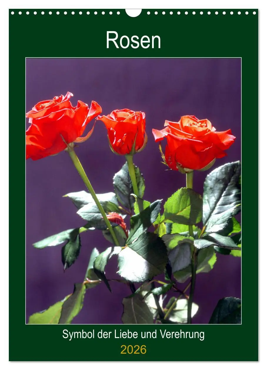 Cover: 9783516404937 | Rosen - Symbol der Liebe und Verehrung (Wandkalender 2026 DIN A3...
