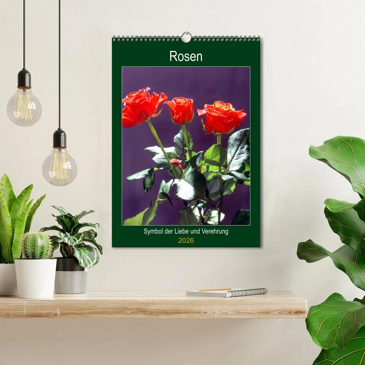 Bild: 9783516404937 | Rosen - Symbol der Liebe und Verehrung (Wandkalender 2026 DIN A3...