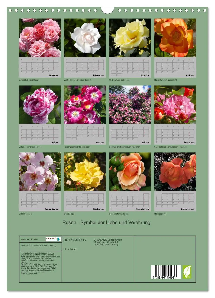 Bild: 9783516404937 | Rosen - Symbol der Liebe und Verehrung (Wandkalender 2026 DIN A3...