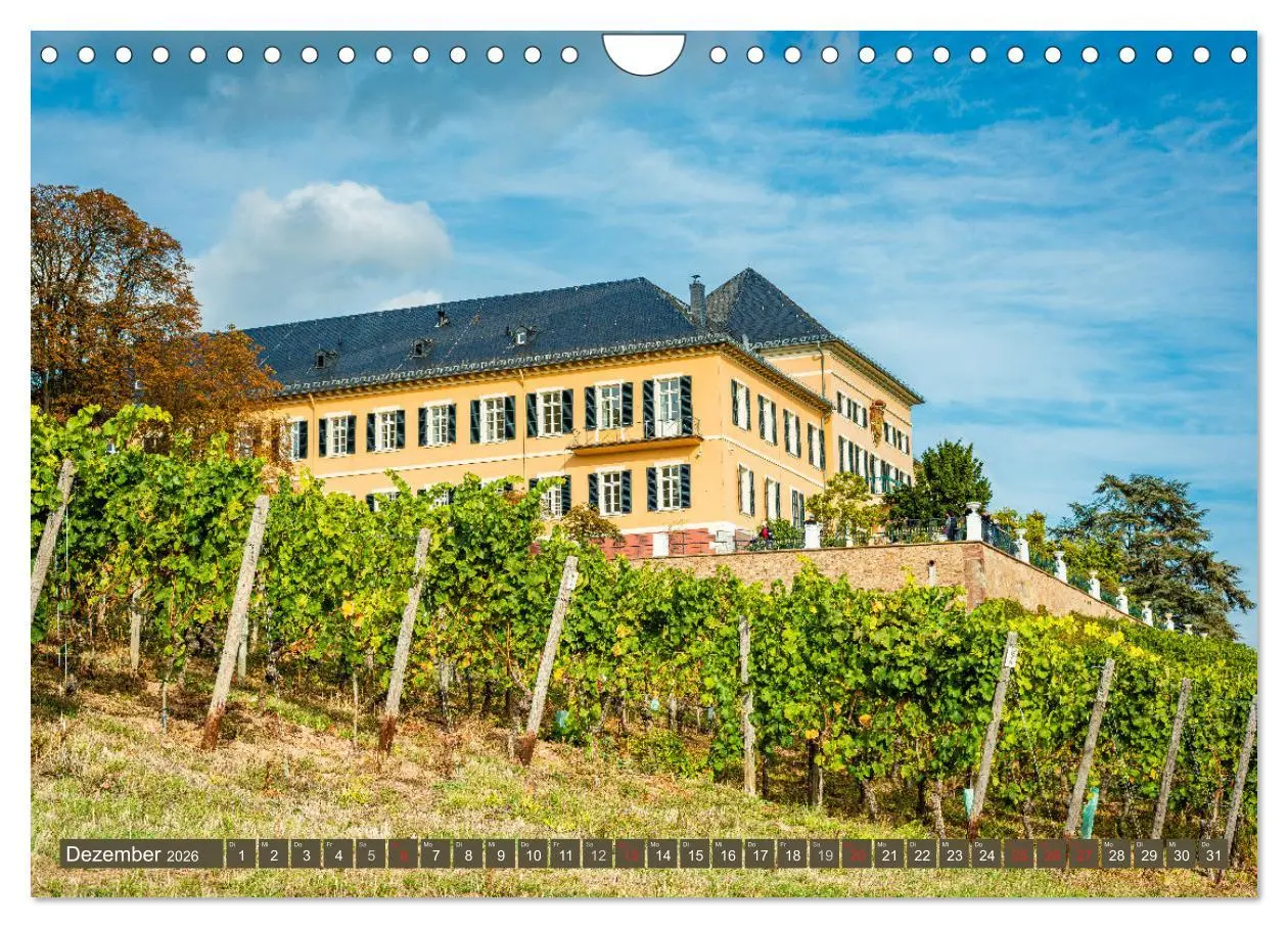 Bild: 9783516155037 | Kulturlandschaft Rheingau (Wandkalender 2026 DIN A4 quer), CALVENDO...