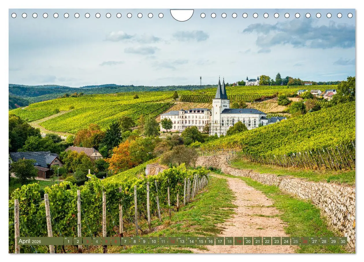 Bild: 9783516155037 | Kulturlandschaft Rheingau (Wandkalender 2026 DIN A4 quer), CALVENDO...