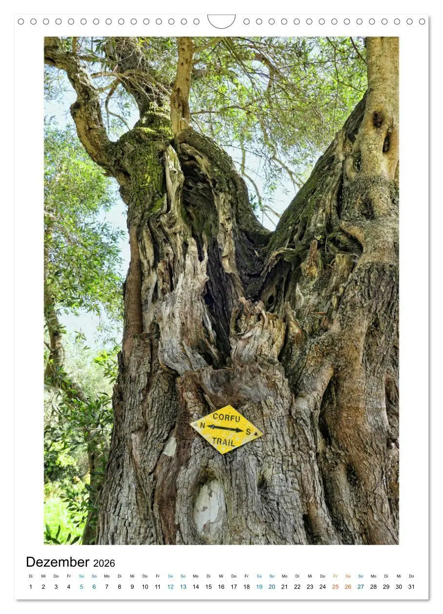 Bild: 9783516395037 | Korfu - Paradiesische Insel in der Adria (Wandkalender 2026 DIN A3...