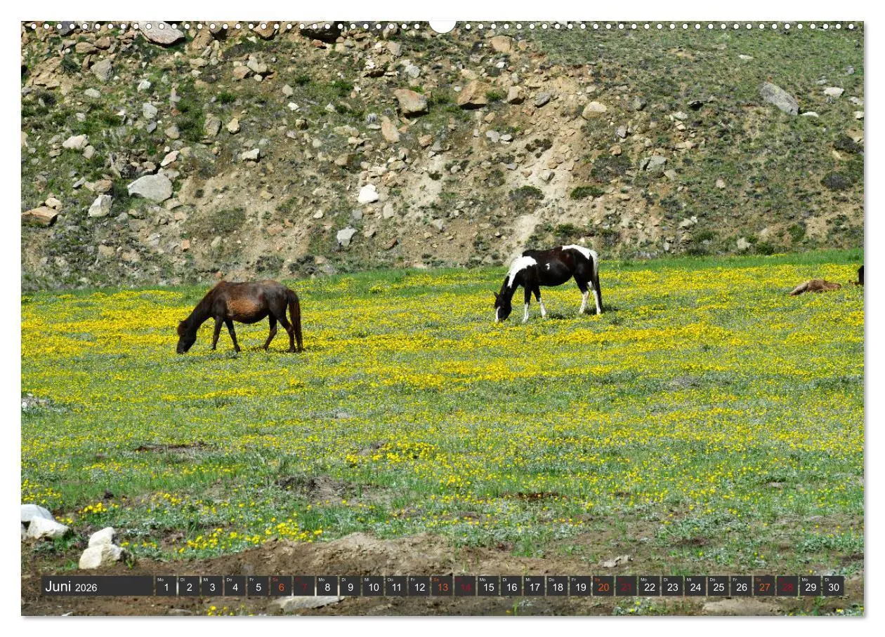 Bild: 9783457365137 | Ladakh - Zanskar (Wandkalender 2026 DIN A2 quer), CALVENDO...