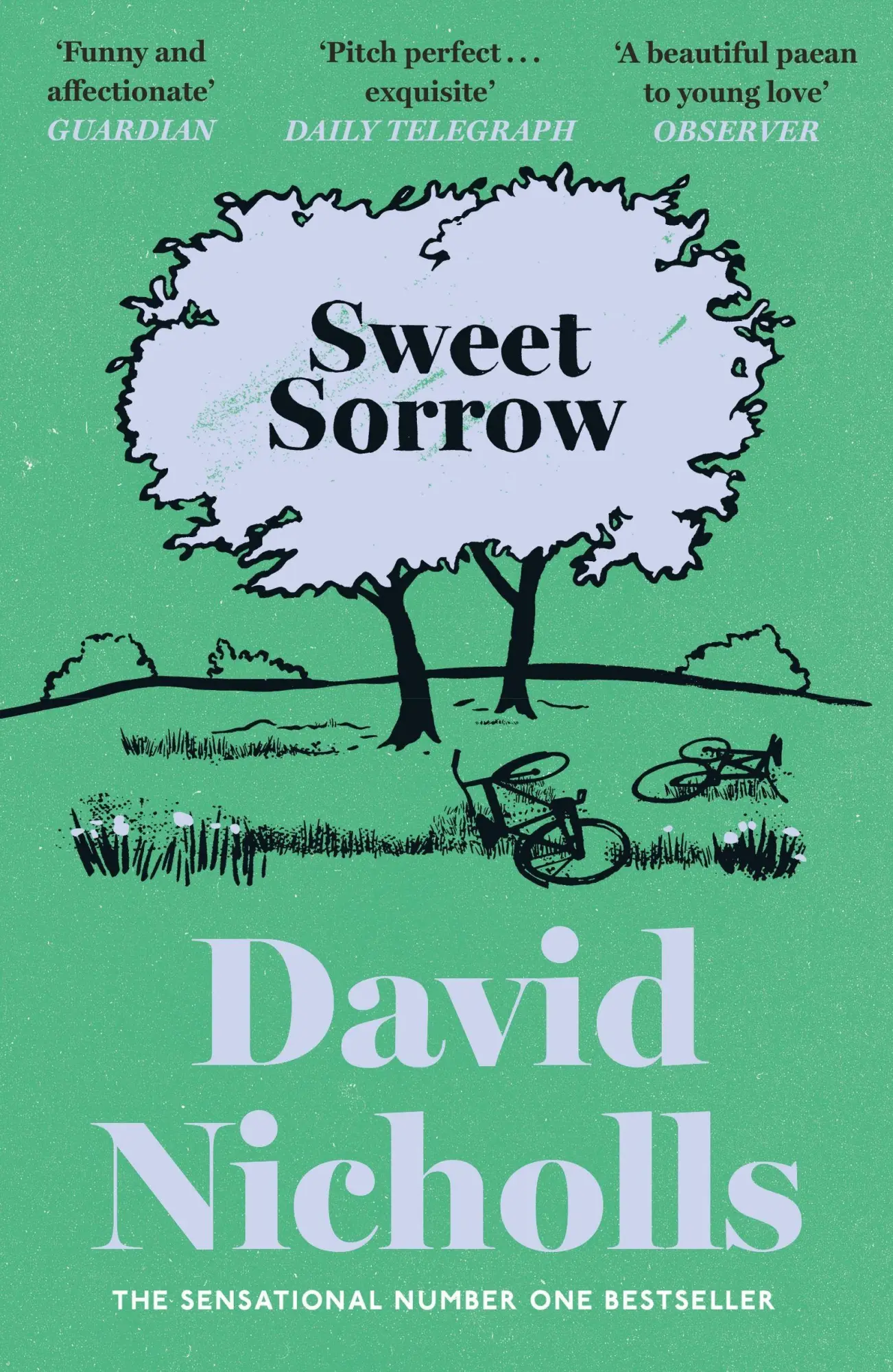 Cover: 9781399765237 | Sweet Sorrow | David Nicholls | Taschenbuch | Englisch | 2026