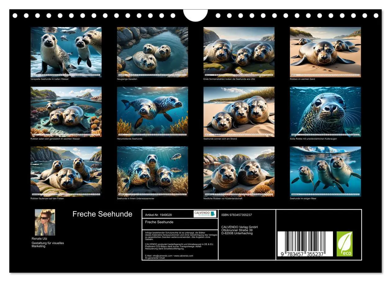 Bild: 9783457355237 | Freche Seehunde (Wandkalender 2026 DIN A4 quer), CALVENDO...