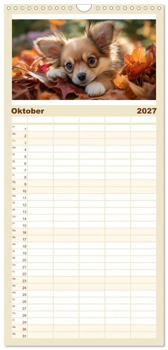 Bild: 9783569535237 | Familienplaner 2027 - Chihuahua Glücksmomente mit 5 Spalten...