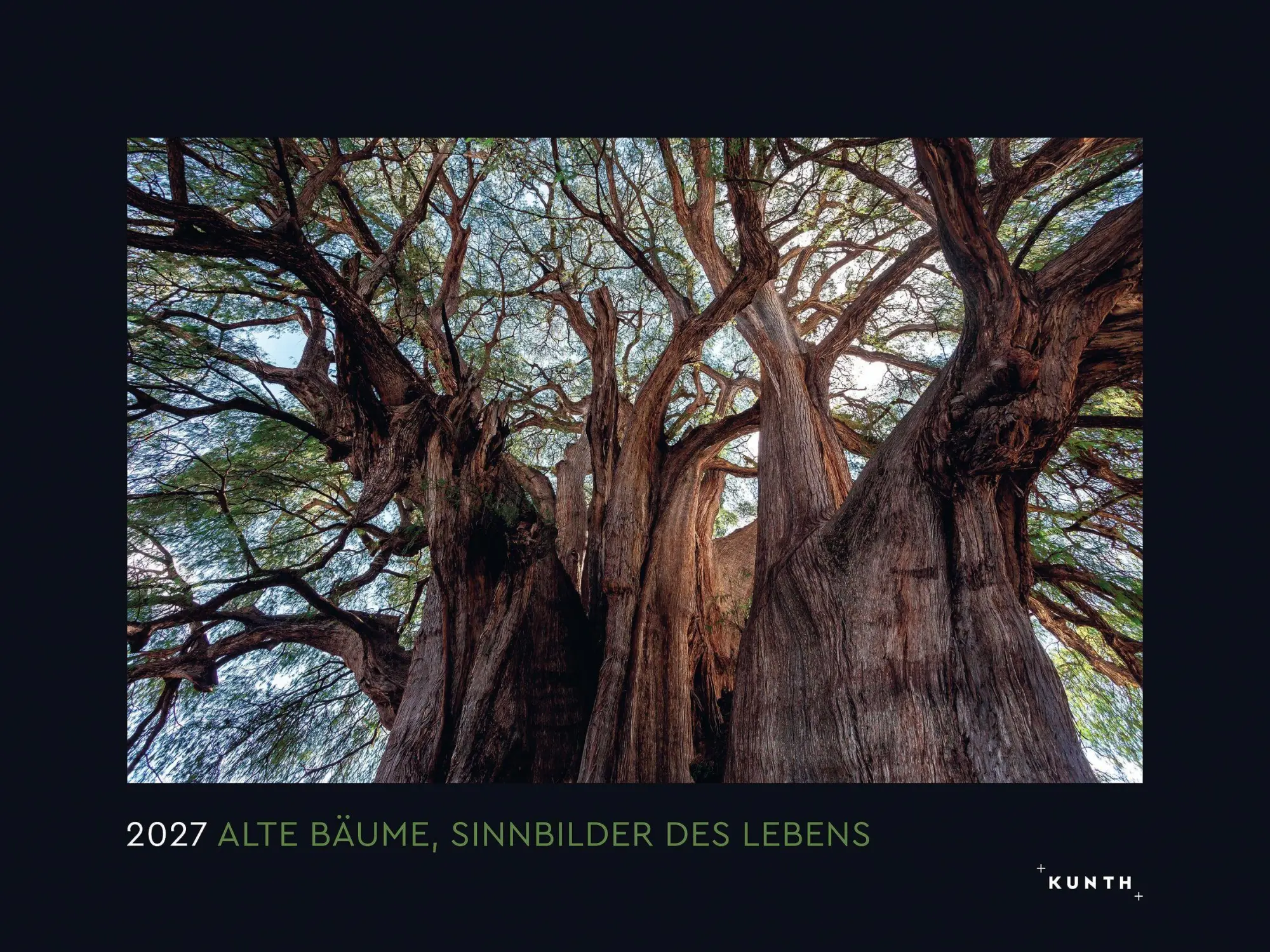 Cover: 9783965915237 | Alte Bäume, Sinnbilder des Lebens - KUNTH Wandkalender 2027 | Kalender