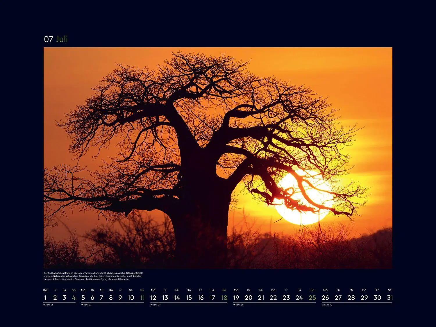 Bild: 9783965915237 | Alte Bäume, Sinnbilder des Lebens - KUNTH Wandkalender 2027 | Kalender