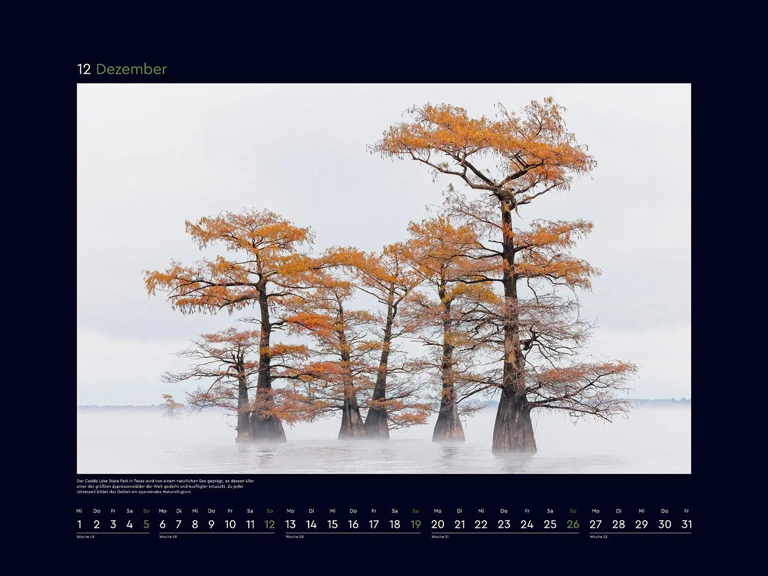 Bild: 9783965915237 | Alte Bäume, Sinnbilder des Lebens - KUNTH Wandkalender 2027 | Kalender