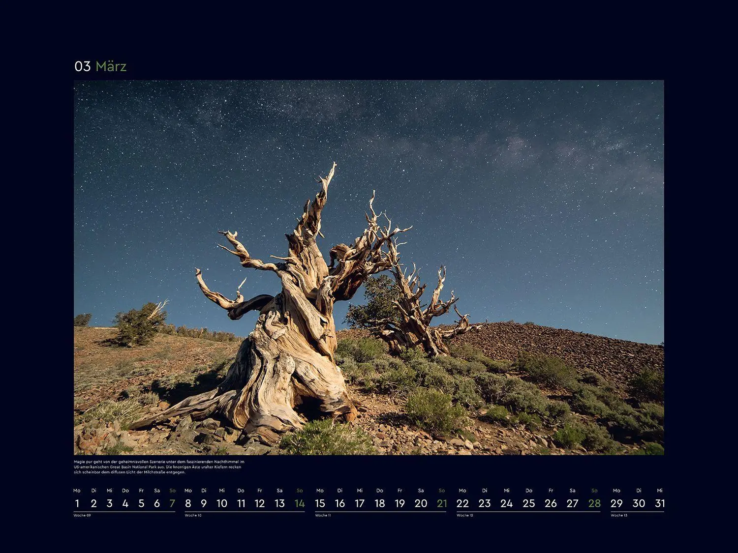 Bild: 9783965915237 | Alte Bäume, Sinnbilder des Lebens - KUNTH Wandkalender 2027 | Kalender