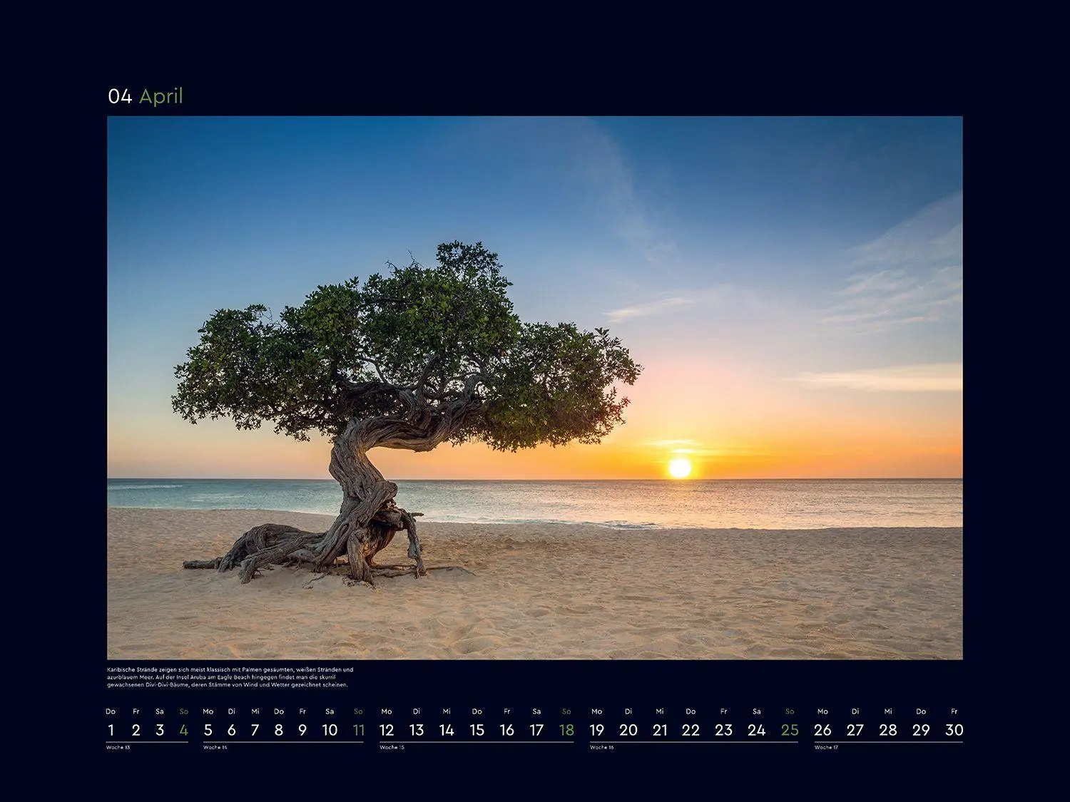 Bild: 9783965915237 | Alte Bäume, Sinnbilder des Lebens - KUNTH Wandkalender 2027 | Kalender
