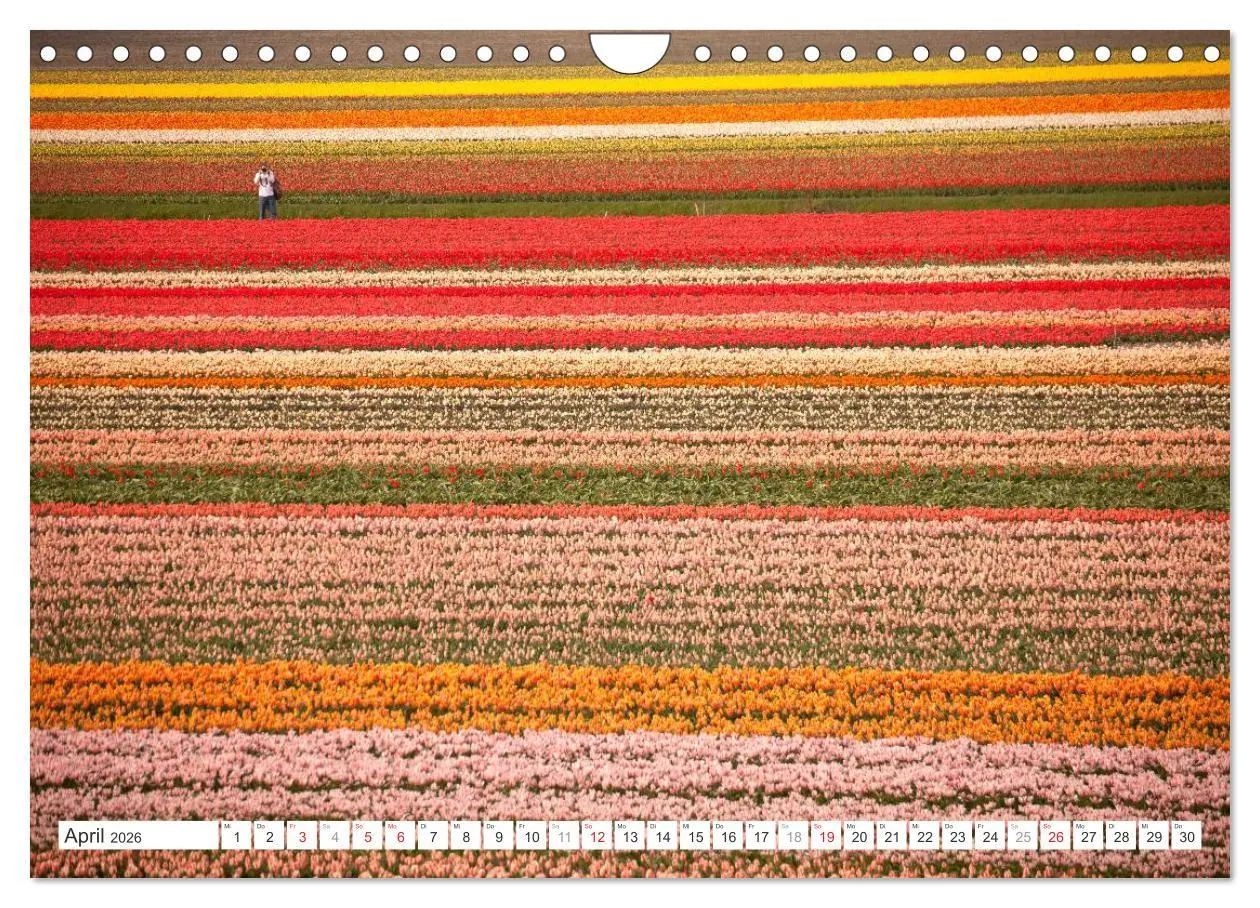 Bild: 9783457275337 | Die ganze Vielfalt der Niederlande (Wandkalender 2026 DIN A4 quer),...