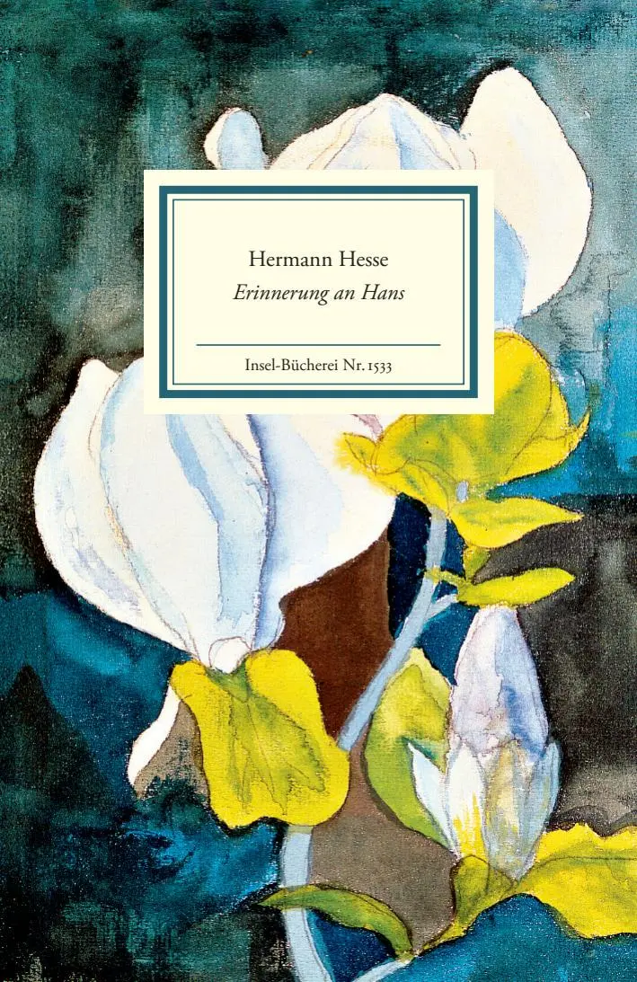 Cover: 9783458195337 | Erinnerung an Hans | Hermann Hesse | Buch | Insel-Bücherei | 85 S.