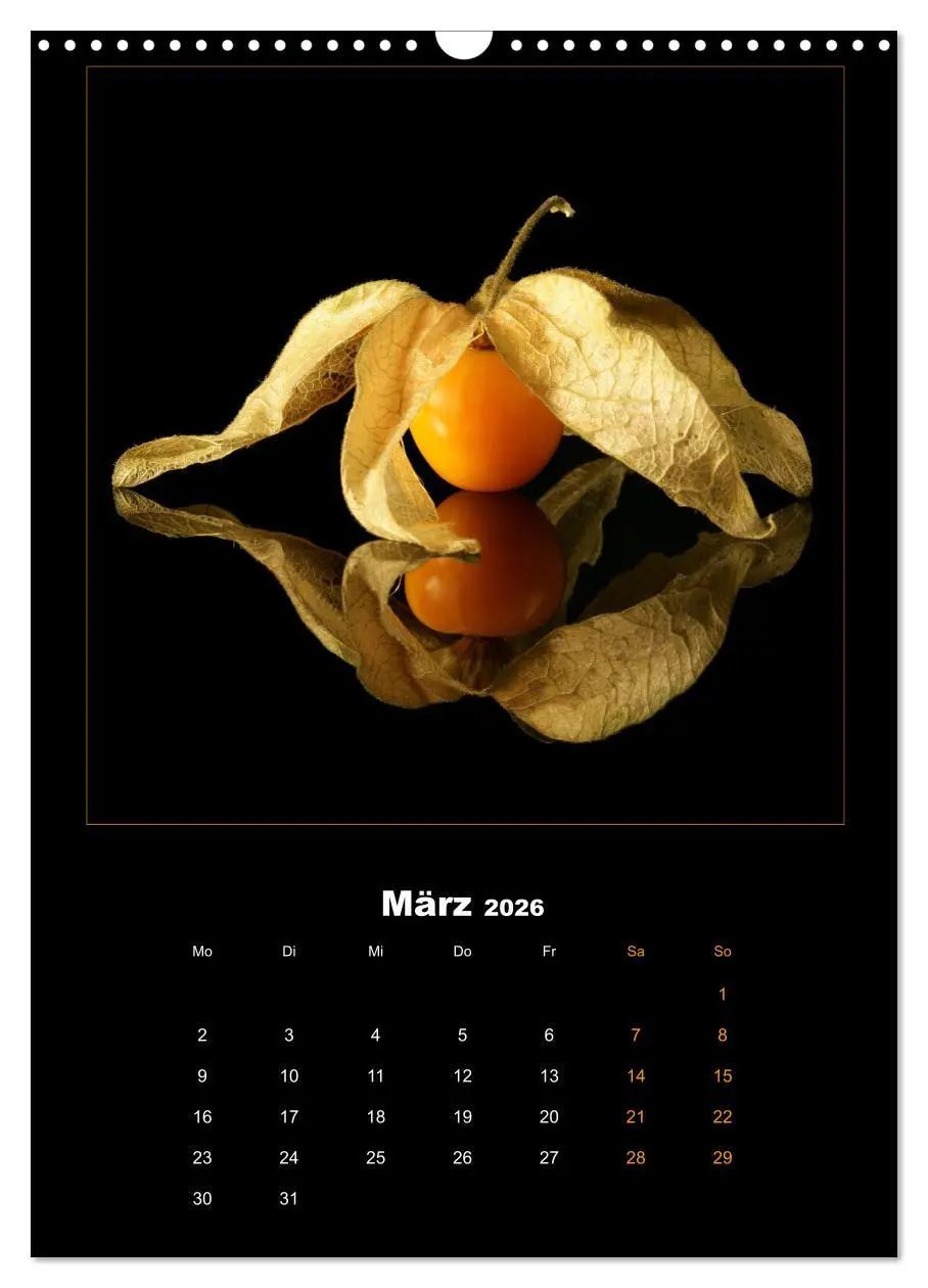 Bild: 9783516365337 | Vegan Food Kalender - Obst und Gemüse auf Schwarz (Wandkalender...