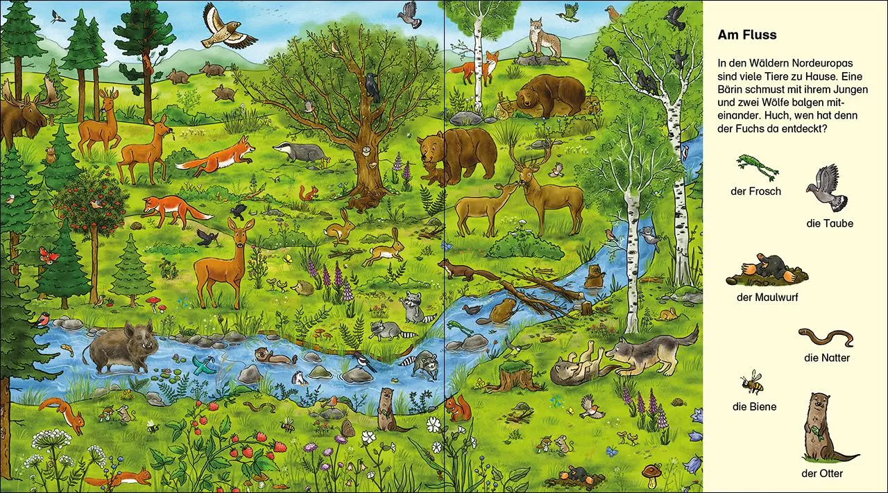 Bild: 9783743215337 | Suche und finde! - Wilde Tiere | Diana Kohne | Buch | Suche und finde!