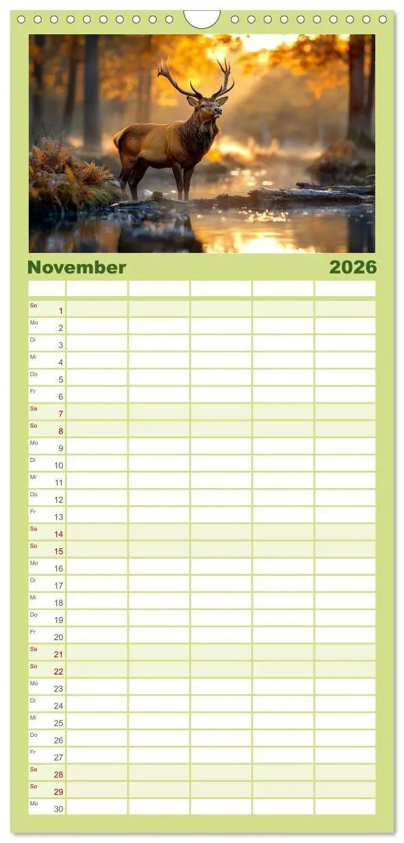 Bild: 9783457955437 | Familienplaner 2026 - Wilde Tierwelt im Wald mit 5 Spalten...