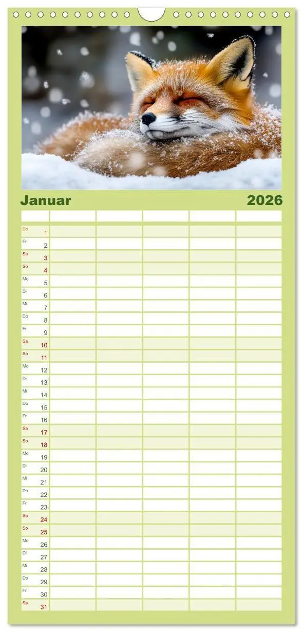 Bild: 9783457955437 | Familienplaner 2026 - Wilde Tierwelt im Wald mit 5 Spalten...