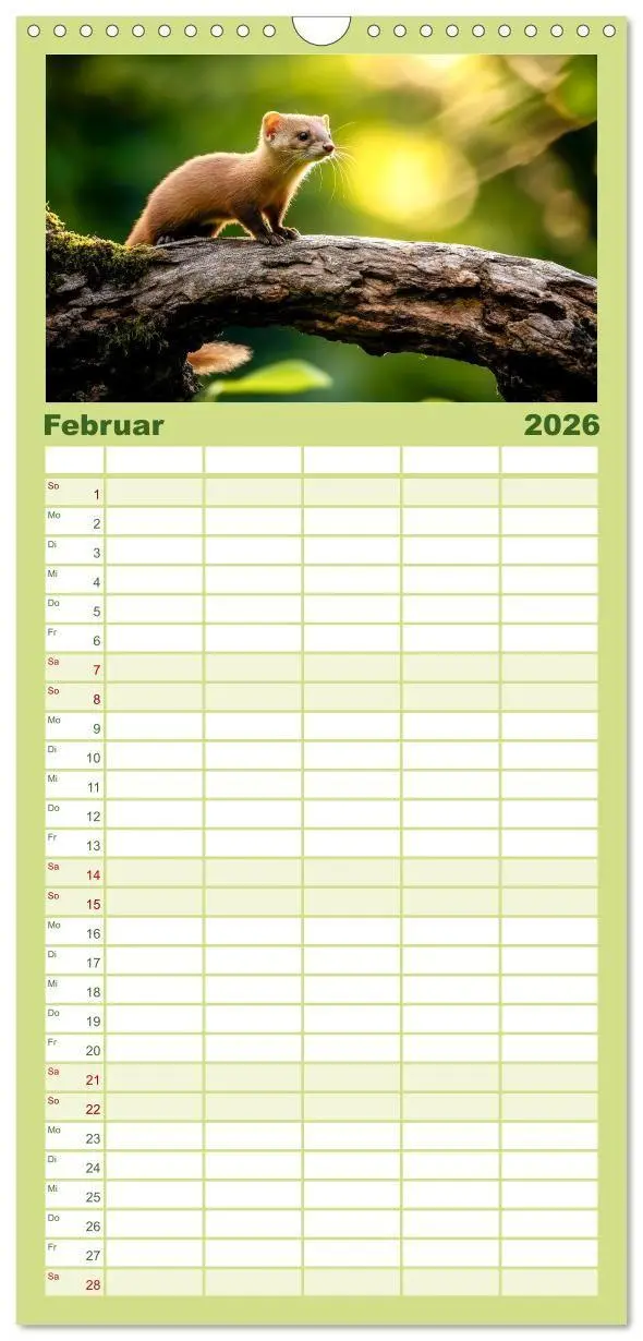 Bild: 9783457955437 | Familienplaner 2026 - Wilde Tierwelt im Wald mit 5 Spalten...