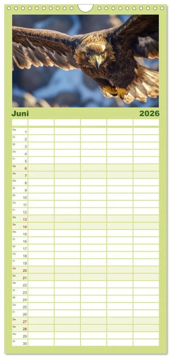Bild: 9783457955437 | Familienplaner 2026 - Wilde Tierwelt im Wald mit 5 Spalten...