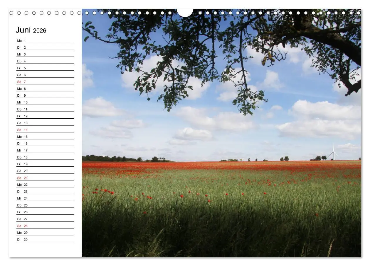 Bild: 9783516115437 | Hannover erleben (Wandkalender 2026 DIN A3 quer), CALVENDO...