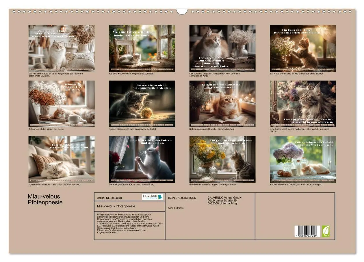 Bild: 9783516665437 | Miau-velous Pfotenpoesie (Wandkalender 2026 DIN A2 quer), CALVENDO...