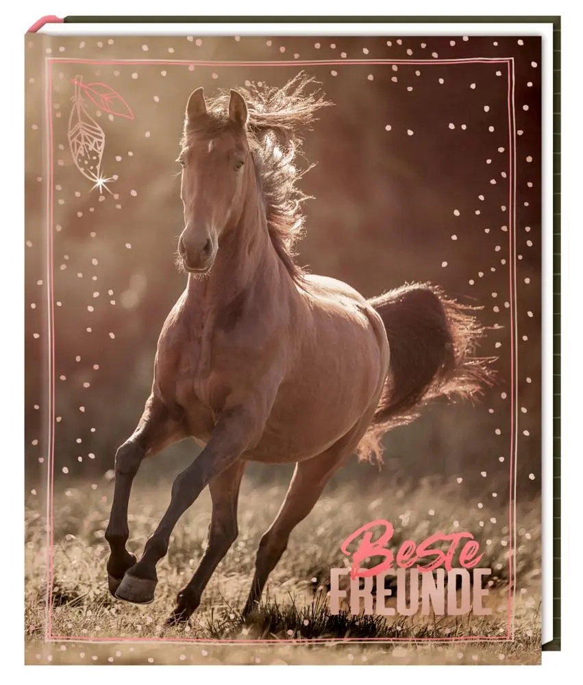 Cover: 4050003715537 | Freundebuch - I LOVE HORSES - Beste Freunde | (Foto) | Slawik | Buch