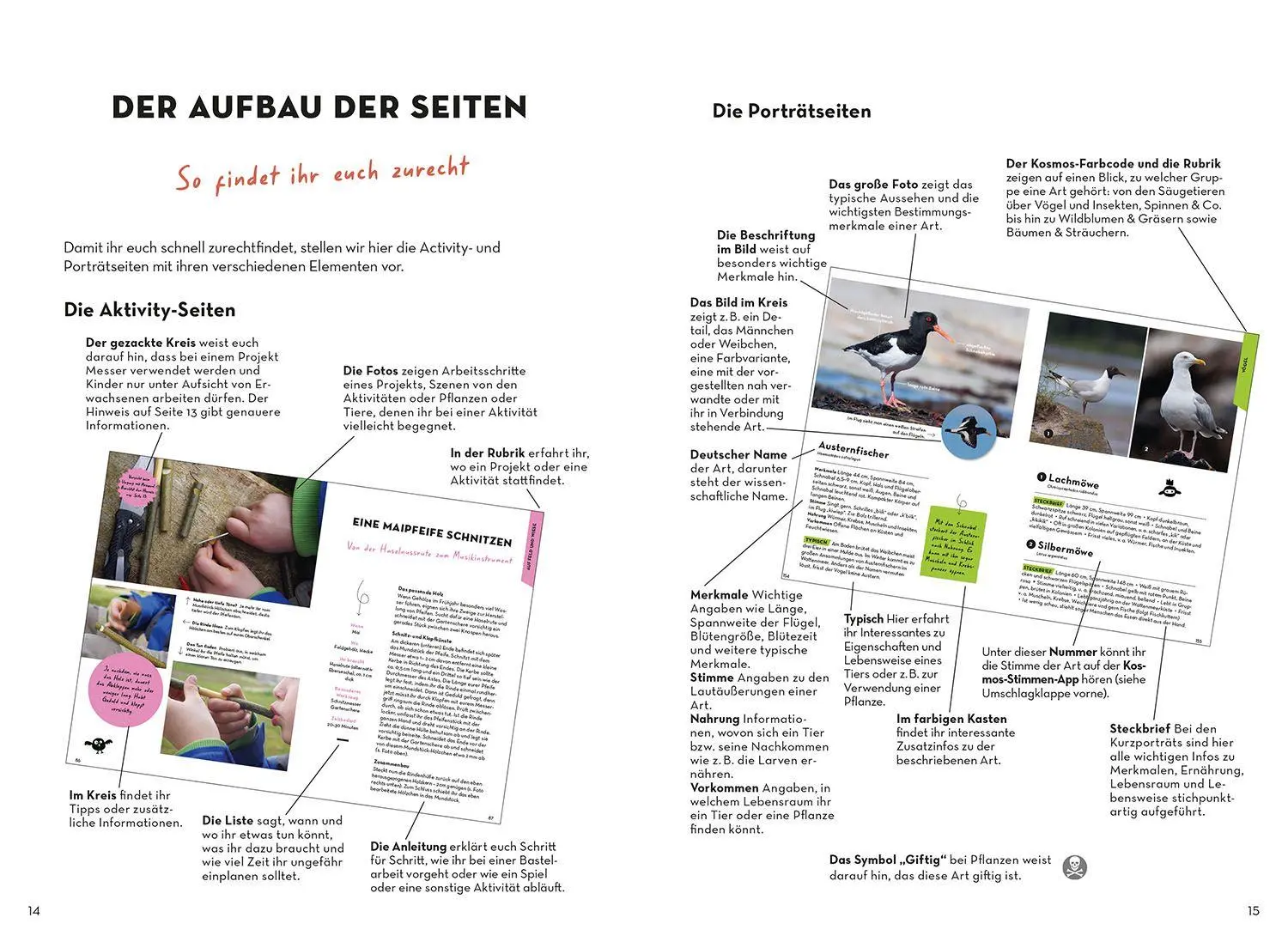 Bild: 9783440185537 | Familien-Naturführer | Katharina Hedder | Taschenbuch | 352 S. | 2026