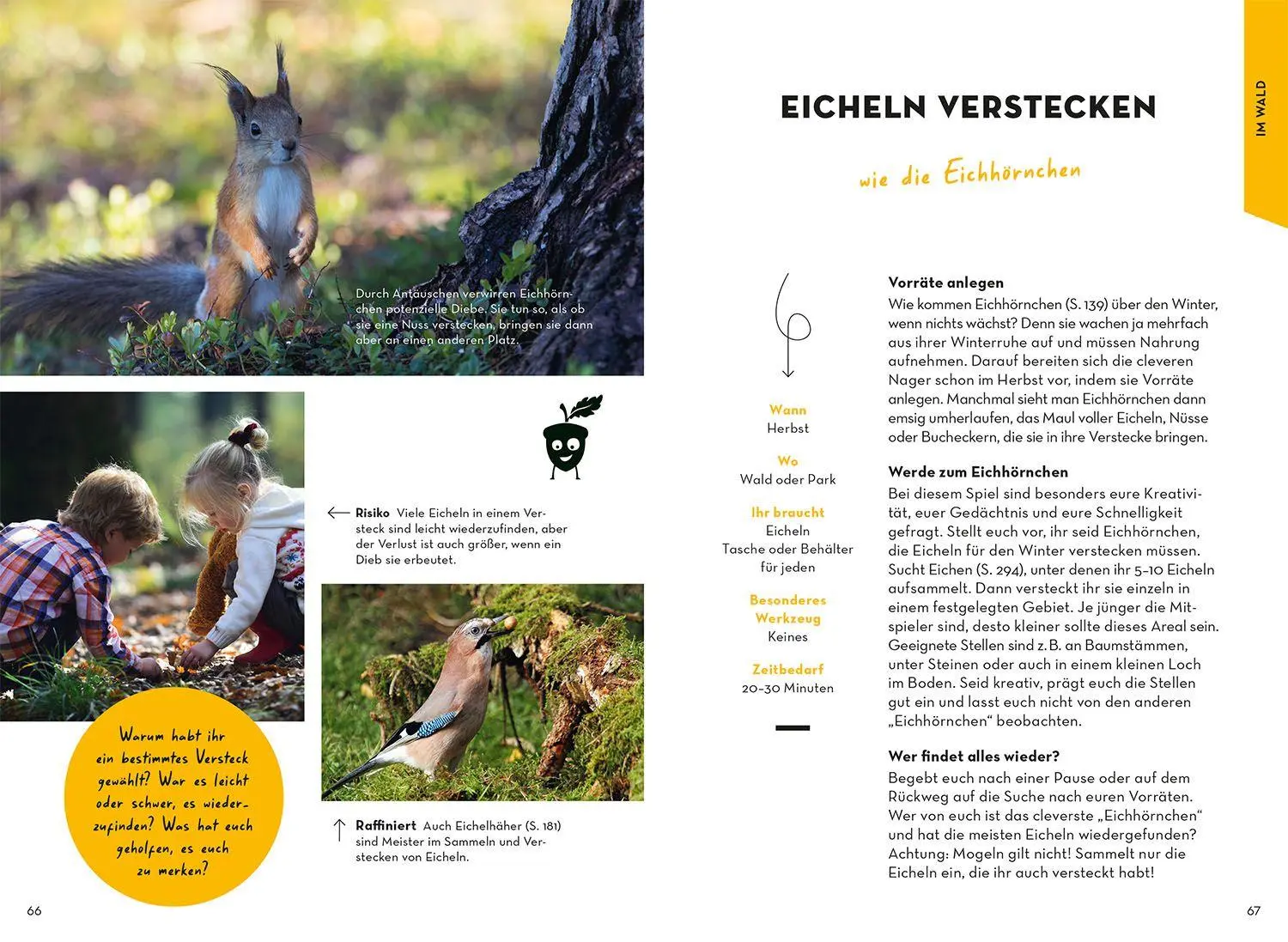 Bild: 9783440185537 | Familien-Naturführer | Katharina Hedder | Taschenbuch | 352 S. | 2026