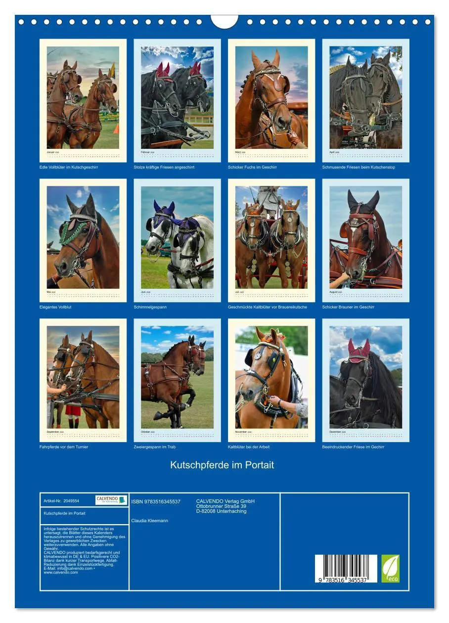 Bild: 9783516345537 | Kutschpferde im Portait (Wandkalender 2026 DIN A3 hoch), CALVENDO...