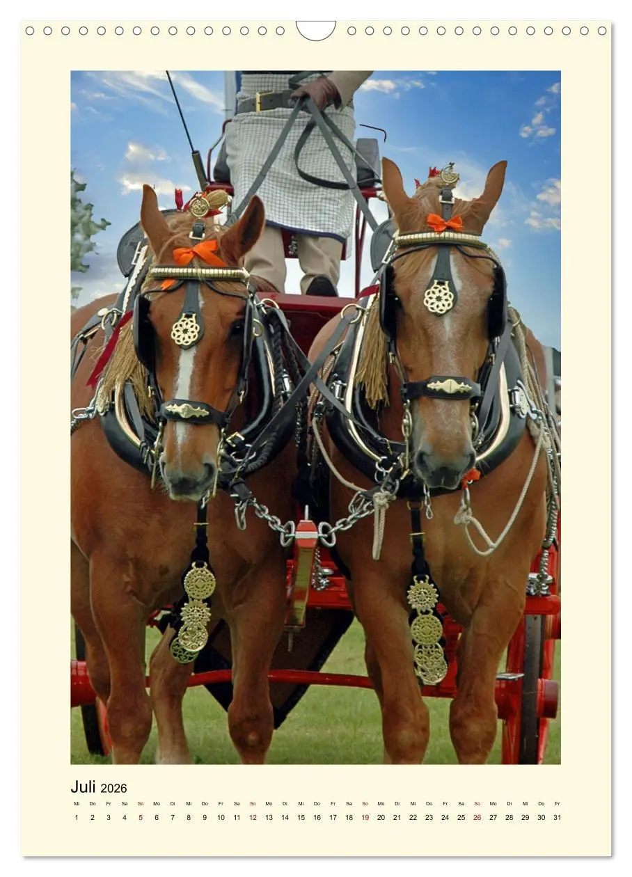 Bild: 9783516345537 | Kutschpferde im Portait (Wandkalender 2026 DIN A3 hoch), CALVENDO...