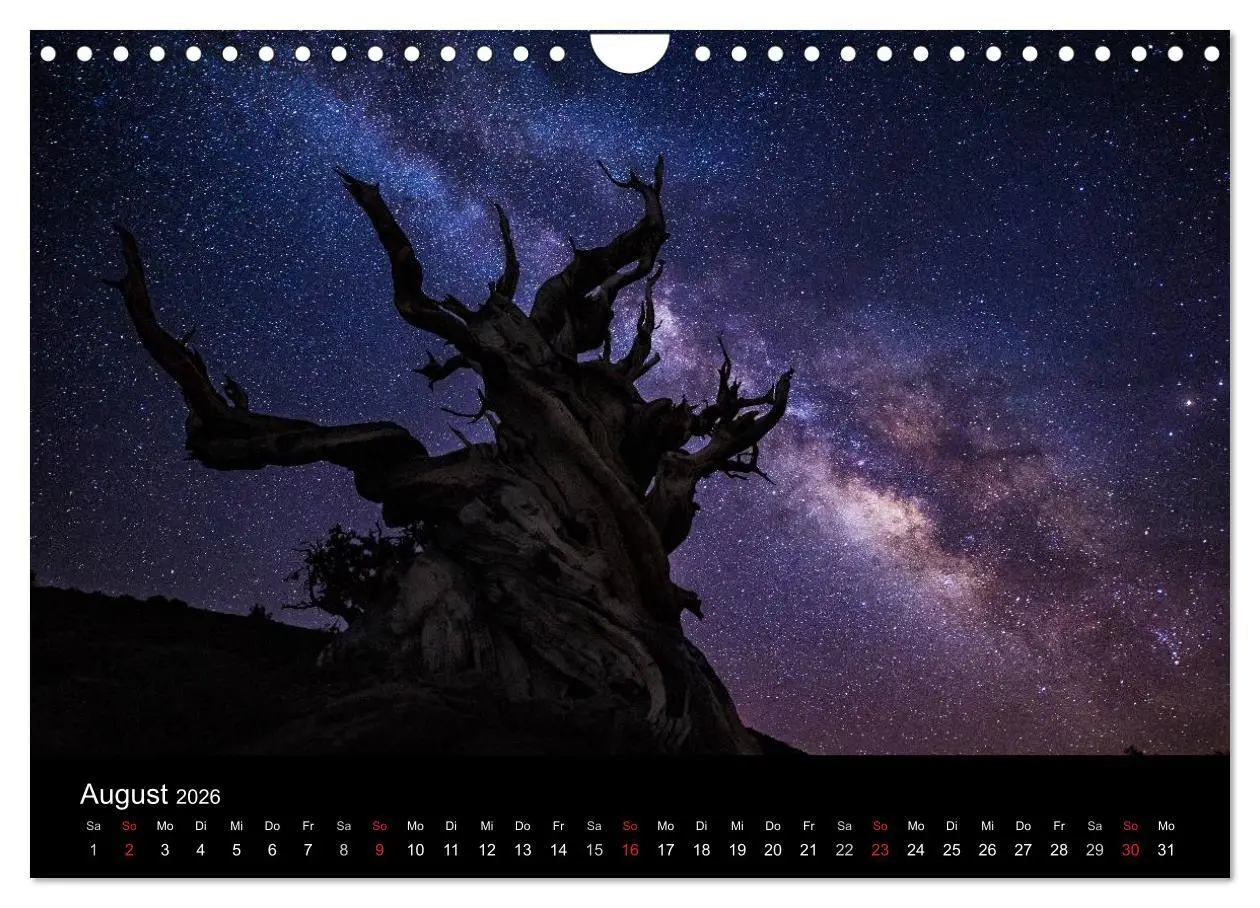 Bild: 9783516025637 | Sternensucher - Landschaft unter Sternen (Wandkalender 2026 DIN A4...