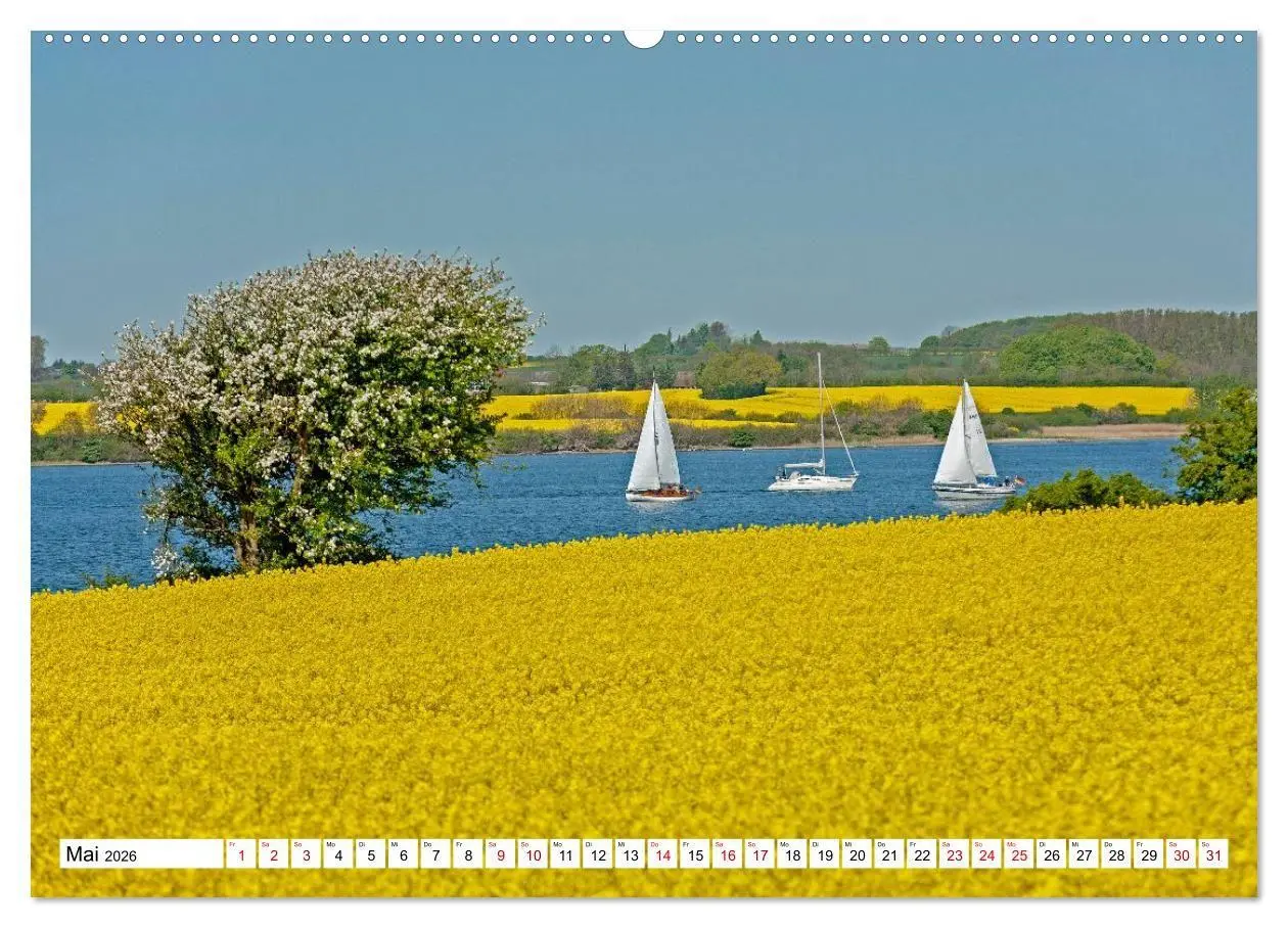 Bild: 9783516715637 | Angeln - Landschaft zwischen Schlei und Flensburger Förde...