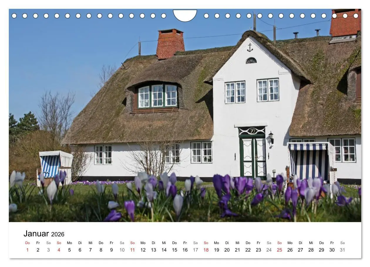 Bild: 9783516185737 | Friesenhäuser (Wandkalender 2026 DIN A4 quer), CALVENDO Monatskalender